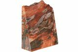 Polished, Petrified Wood With Fungal Rot - Arizona #185091-1